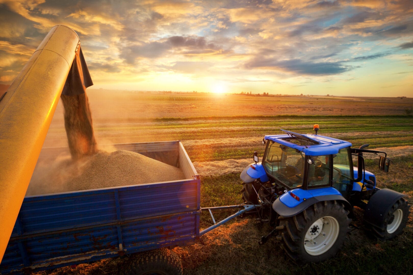 Combine Harvester and tractor