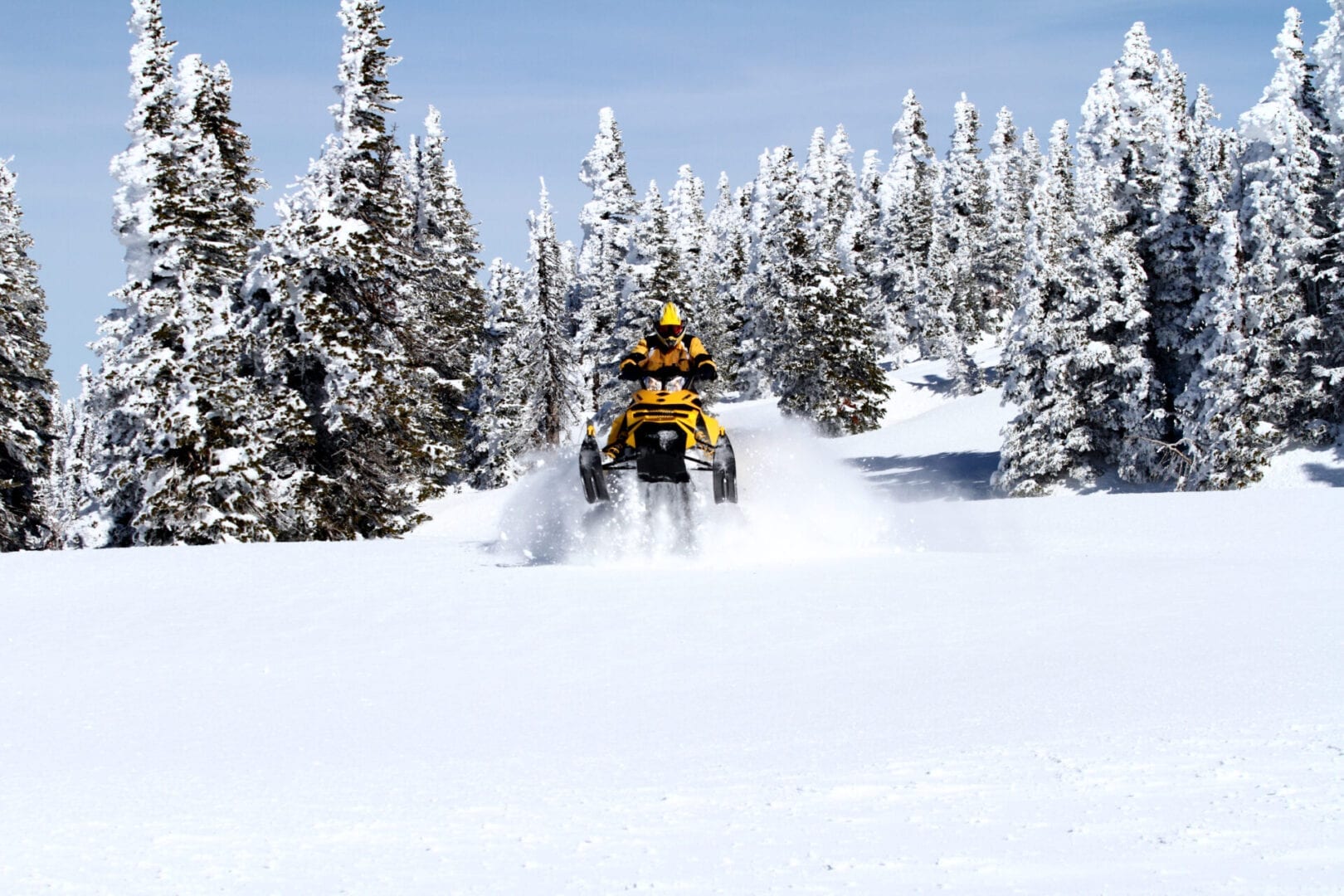 Snowmoblier coming out of the trees in deep powder snow using AMSOIL