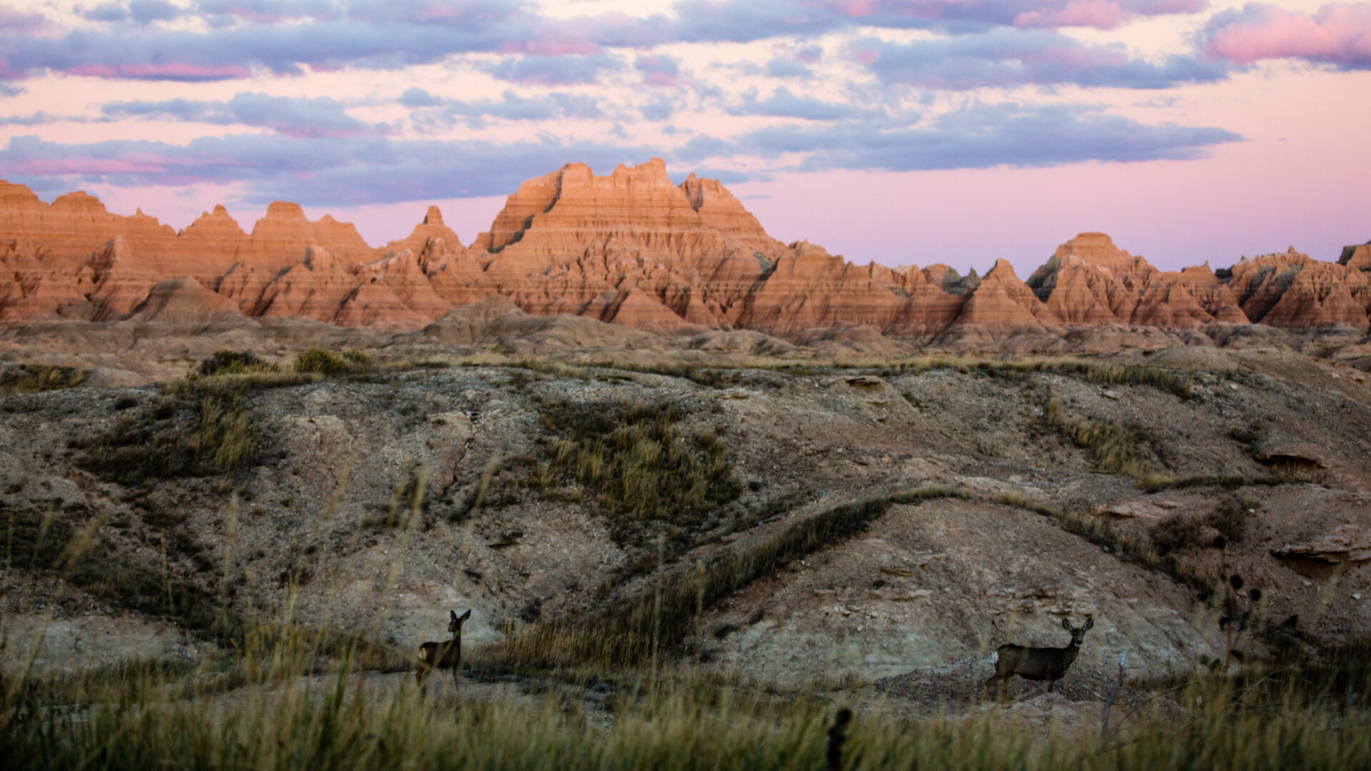 Badlands